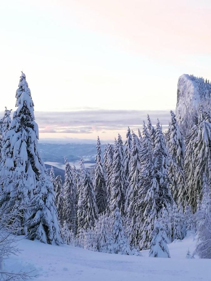 Hotel Elitza Pamporovo Eksteriør bilde