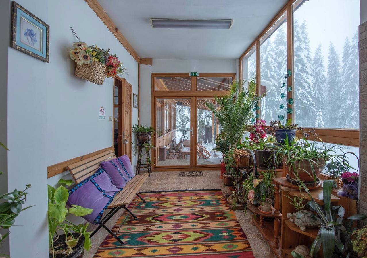 Hotel Elitza Pamporovo Eksteriør bilde