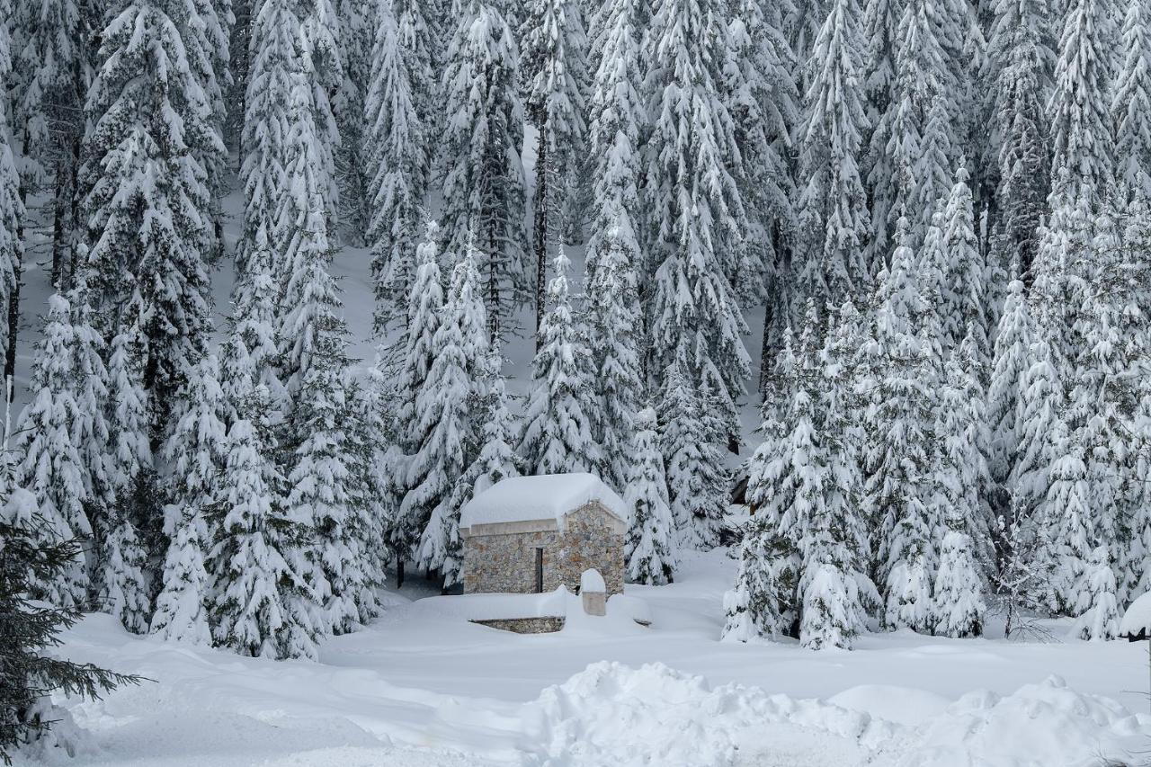 Hotel Elitza Pamporovo Eksteriør bilde